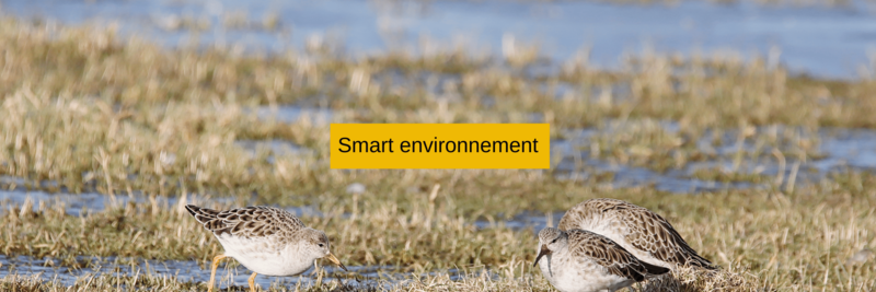 Slider-SMART-ENVIRONNEMENT