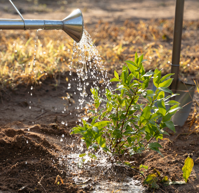 Spie batignolles ITM+ Qualité de l'eau 1